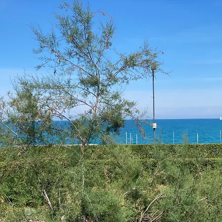 Trilocale Davanti Cod 488 Apartamento *