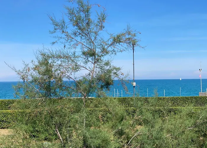 Trilocale Davanti Cod 488 Apartamento *